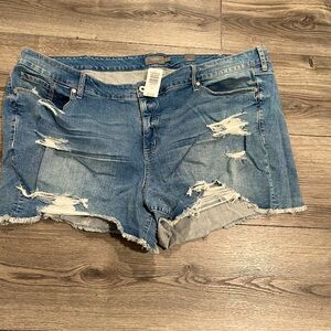NWT. Torrid 30, Destroyed Denim Shorts. Mid Rise.
